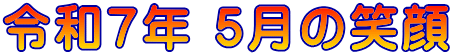 ߘaVN 5̏Ί